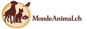 Monde animal, tout savoir sur les animaux