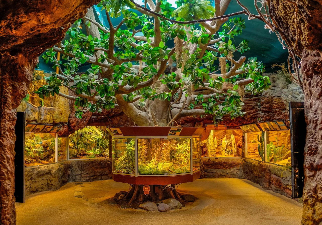 Poissons dans un aquarium décoré